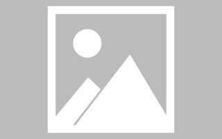 永新网页设计英文默认字体（网页设置英文转换中文）